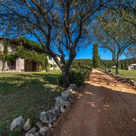 Rent In Rome - Agriturismo Villa Belvedere